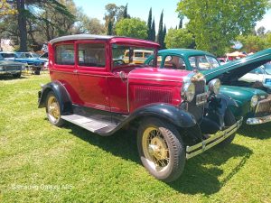 17 años de autos de época en la Rural