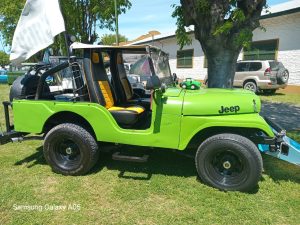17 años de autos de época en la Rural