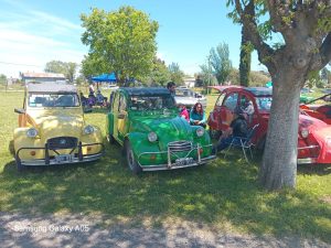 17 años de autos de época en la Rural