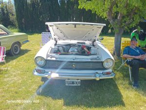 17 años de autos de época en la Rural