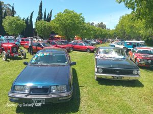 17 años de autos de época en la Rural