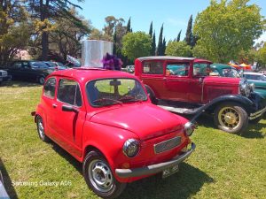 17 años de autos de época en la Rural
