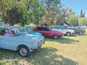 17 años de autos de época en la Rural