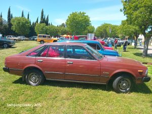 17 años de autos de época en la Rural
