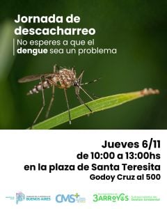 Tres Arroyos se suma a la jornada provincial de descacharreo