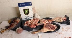 Esclarecen abigeato en Dorrego: secuestran armas, herramientas, celulares y droga