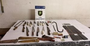 Esclarecen abigeato en Dorrego: secuestran armas, herramientas, celulares y droga