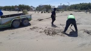 (audio) Anuncio de Civetta: “Playas limpias” este verano será en Claromecó y Reta