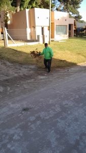 (audio) Anuncio de Civetta: “Playas limpias” este verano será en Claromecó y Reta