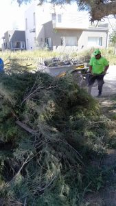 (audio) Anuncio de Civetta: “Playas limpias” este verano será en Claromecó y Reta