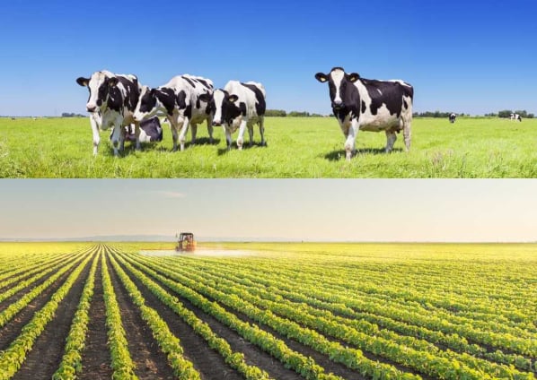 Marcelo Goñi trazó el panorama actual del agro: soja, trigo, girasol y hacienda