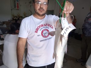Instituto Almafuerte: Bladimir Krieger sacó la primera Corvina
