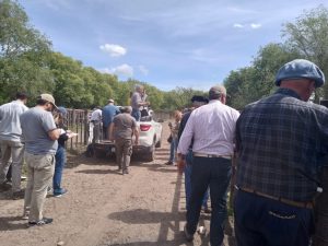 Muy buen remate de Arzoz & Cía. en la Rural de Tres Arroyos