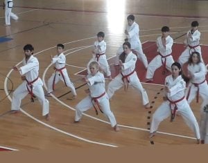 Taekwondo: gran jornada el maestro Ebel Barat