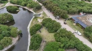 Hallaron muerta a Débora Bulacio en Necochea