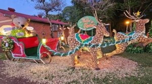 Capioví,  el pueblo navideño creado por la fuerza de toda una comunidad