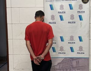 Alojado en la Comisaría por dañar con un hacha una propiedad y portar arma blanca