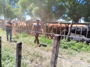 Excelente remate de fin de año de Arzoz y Cia