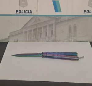 Alojado en la Comisaría por dañar con un hacha una propiedad y portar arma blanca