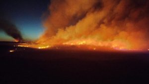 Descontrolado incendio forestal en Buratovich: ya afectó a casi 6 mil hectáreas