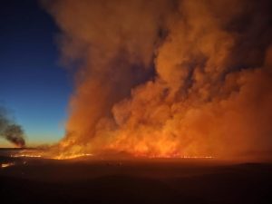 Descontrolado incendio forestal en Buratovich: ya afectó a casi 6 mil hectáreas