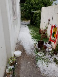 Enviados al WhatsApp 584452: fotos y videos de la lluvia y el granizo