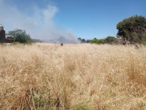 Bomberos sofocaron incendio en León 740