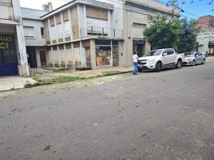 Una rama cayó arriba de un auto estacionado en el centro