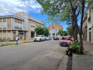 Una rama cayó arriba de un auto estacionado en el centro