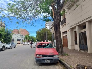 Una rama cayó arriba de un auto estacionado en el centro