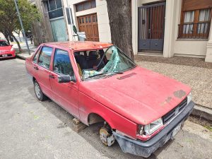 Una rama cayó arriba de un auto estacionado en el centro