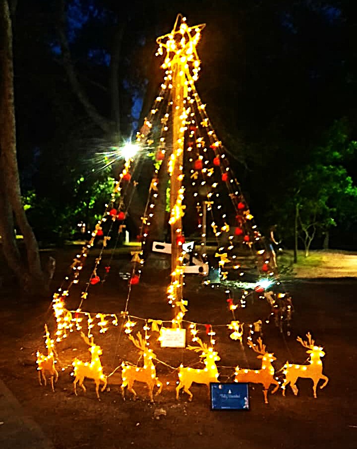 (video) Iluminaron el árbol navideño en la Plaza Luis Piedra buena de Claromecó