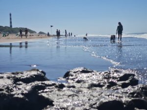 Claromecó: Domingo para disfrutar en la costa