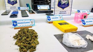 Secuestran más de un kilo de cocaína en un allanamiento en Punta Alta