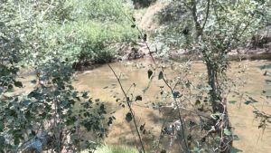 Peligroso estado por obstrucciones del curso urbano del Arroyo del Medio (galería de fotos)
