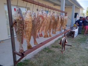 ¡ Gastón Iudice el gran ganador del concurso del club de pesca Claromecó !