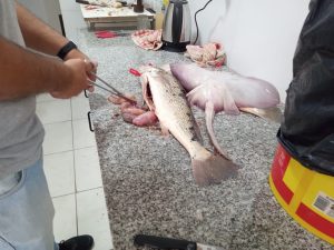 Pesca: Primera clasificación del Club de Pesca Claromecó