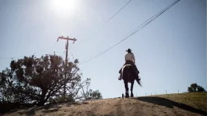 Se conmemora el día Nacional del Gaucho