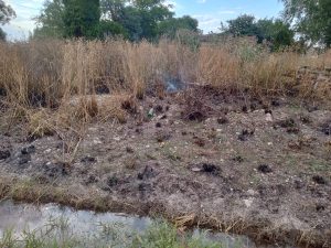Rápida intervención de los Bomberos Voluntarios en incendio de pastizales