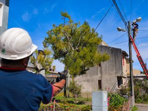 Comenzó la obra de fibra óptica de CELTAtv en el Barrio Fonavi Terminal