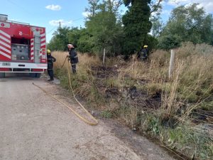 Rápida intervención de los Bomberos Voluntarios en incendio de pastizales
