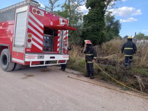 Rápida intervención de los Bomberos Voluntarios en incendio de pastizales