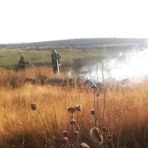 Bomberos de Copetonas, Claromecó y Reta sofocaron incendio forestal