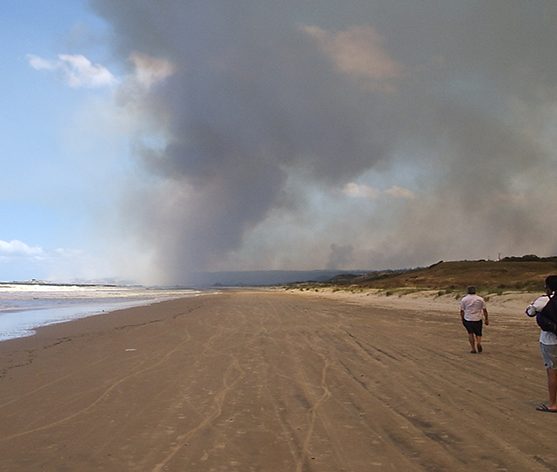 Bertone y el incendio en Dorrego: “aún no hay riesgos para Marisol” (audio)