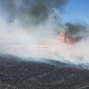 Incendio forestal en zona rural de Indio Rico
