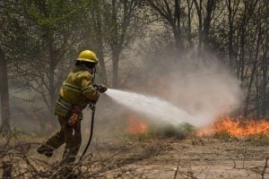 Ardua tarea de Bomberos para extinguir fuego en un monte
