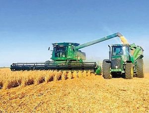 Juan Ouwerkerk y la esperanza que el trigo superé un récord en Argentina