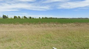 Chaves: Apoyo de la Liga de Comercio a iniciativas privadas