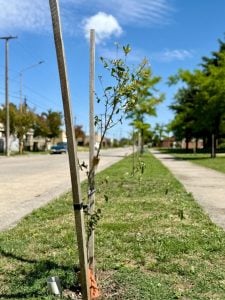 San Cayetano: reconocimiento al municipio por gestión medioambiental