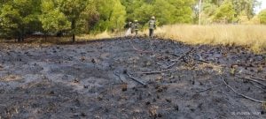 Incendio forestal sobre Ruta 73 demandó ardua tarea de bomberos